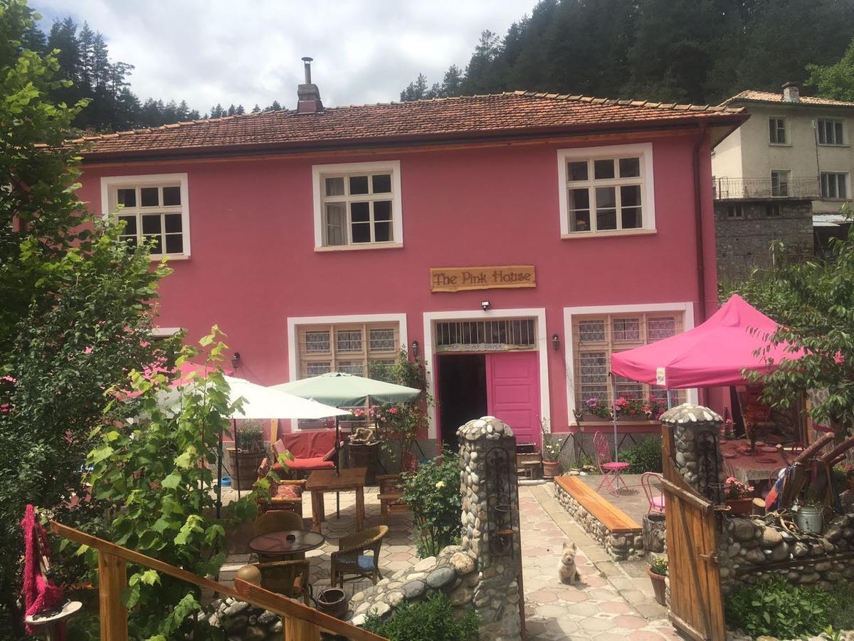 Hotel The Pink House Polkovnik Serafimovo Zewnętrze zdjęcie